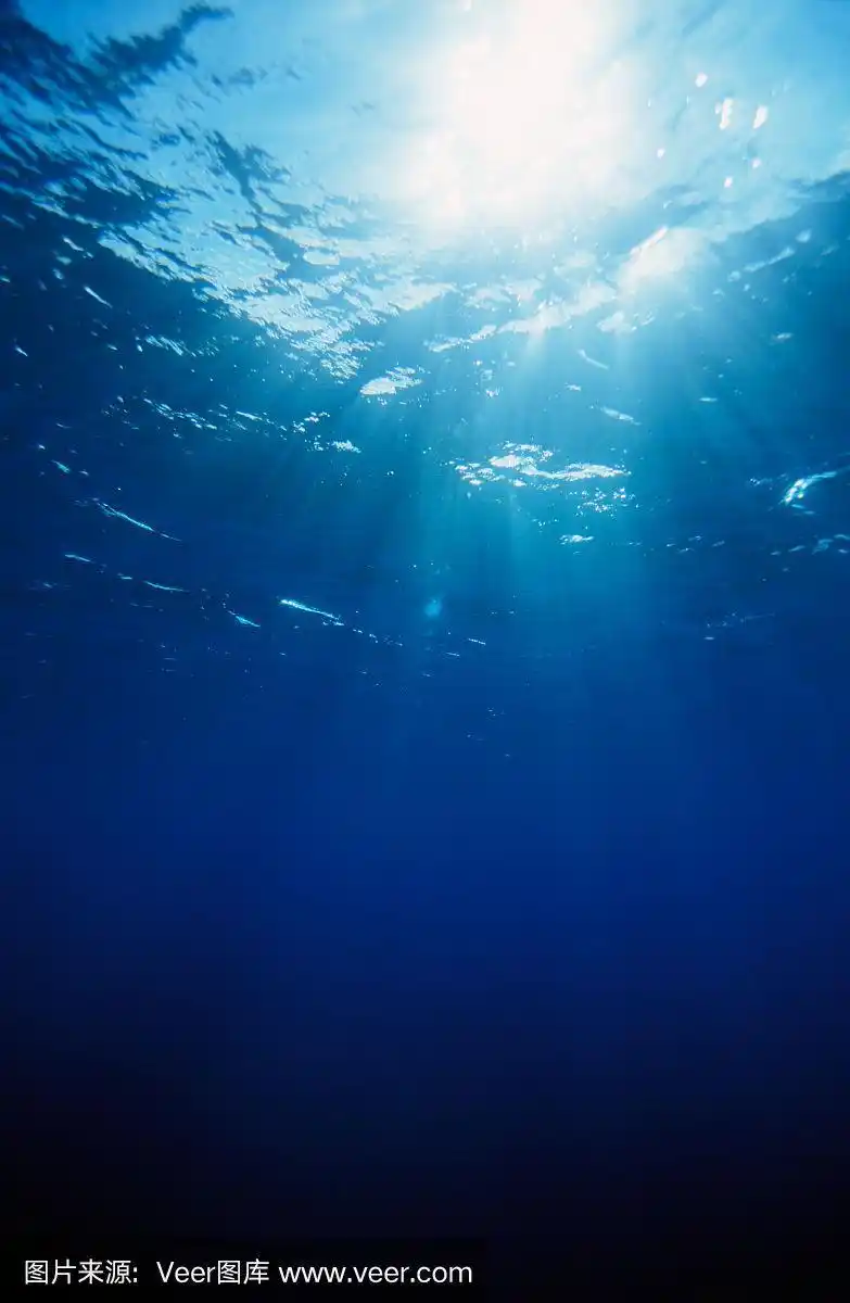 在深蓝色的大海里游泳,看着阳光