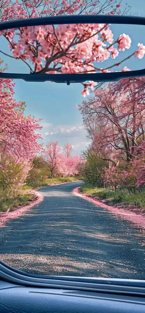 壁纸被赞爆的手机壁纸