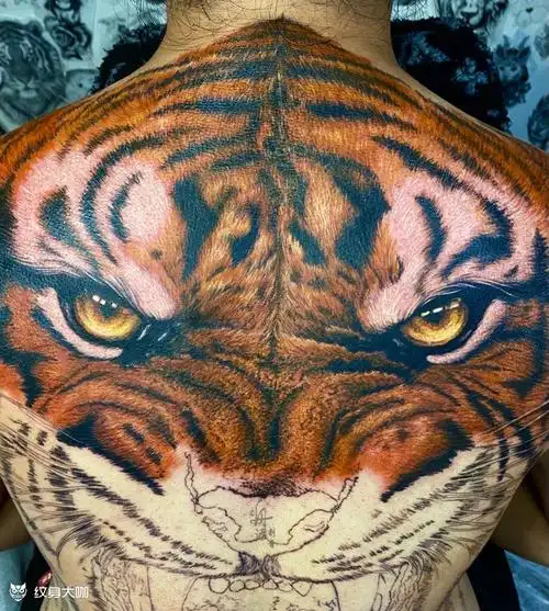 老虎背部纹身图案大全 - 纹身大咖
