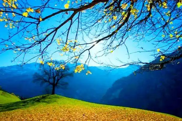 心理学:哪处风景最迷人,测出你有什么好运连续不断的奔来|平安|好运