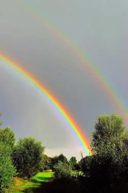 日出,彩虹,早上好