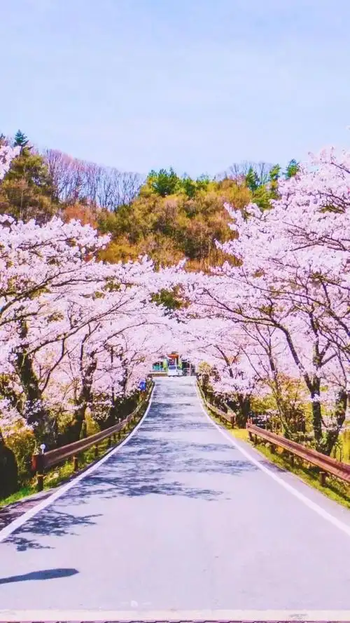 背景图风景唯美 淡雅(背景图 风景 唯美)-天晟网