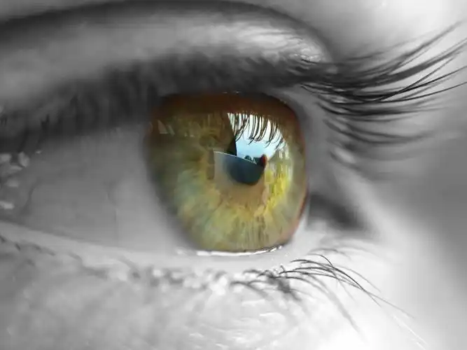 眼睛的特写镜头