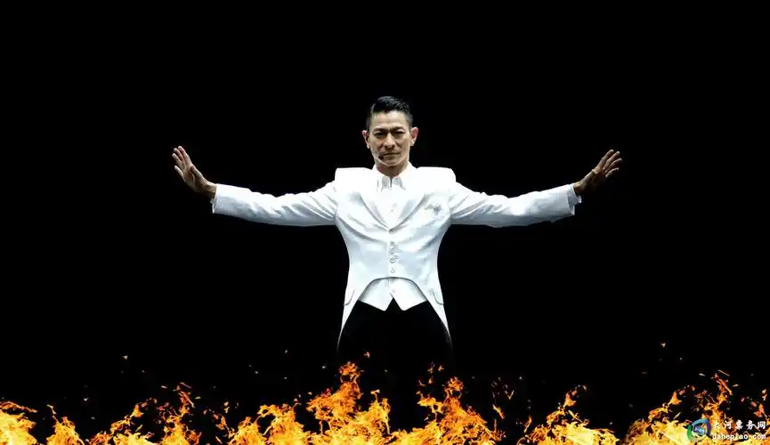 这一次我们的主角是"华仔天地",也是刘德华认可的粉丝机构,其实小编