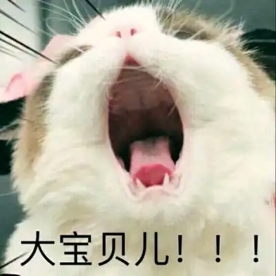 表情包 大宝贝儿