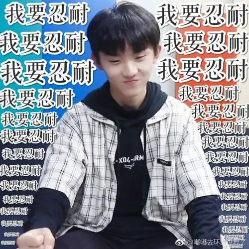 马嘉祺表情包混入:)