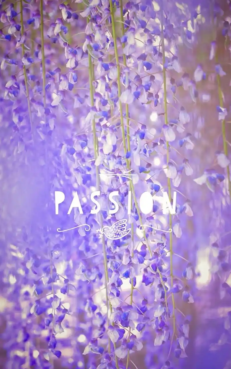 唯美紫色花卉梦幻手机壁纸