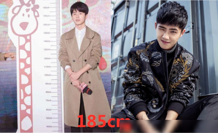 身高和脸蛋不匹配的男星,王嘉尔175,沈腾180,毕雯珺:扎心了