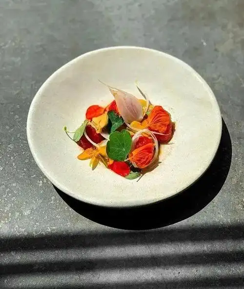 摆盘设计米其林餐厅先锋精致菜品239季