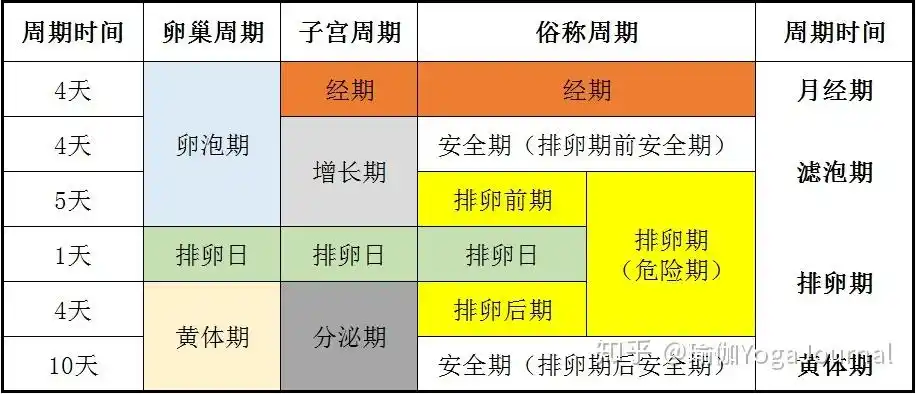 又可以分为四个具体的阶段:排卵期,黄体期,月经期,卵泡期