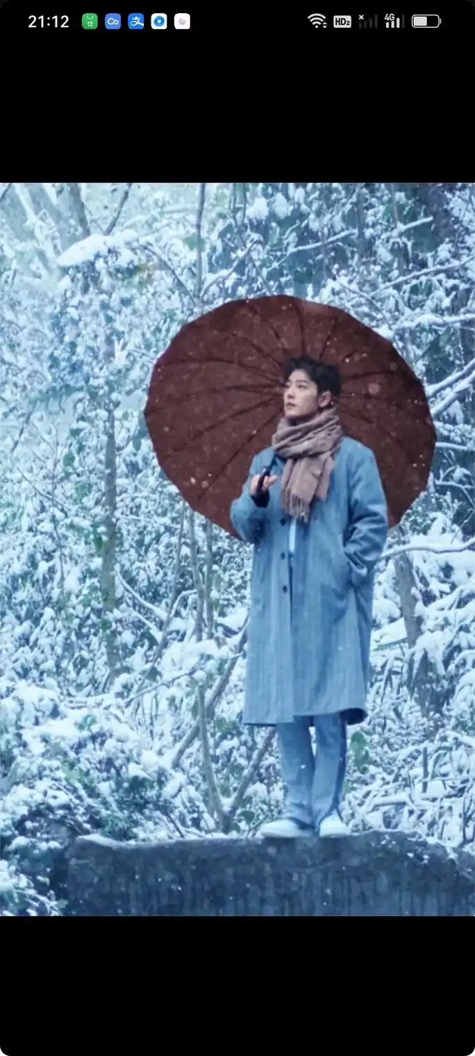 始于颜值陷于才华忠于人品 肖战冬至竹林大片来了,衣服竹林相 - 抖音