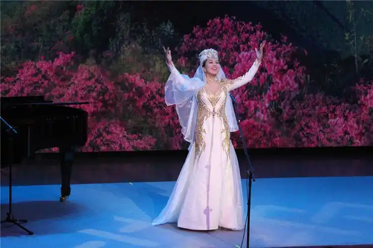 歌剧,民歌,戏曲……王雅洁独唱音乐会展现多元风格-腾讯新闻