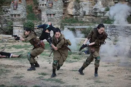 《黑虎 》,《将军》,《永不磨灭的番号》,《女子炸弹小队》,《抗日