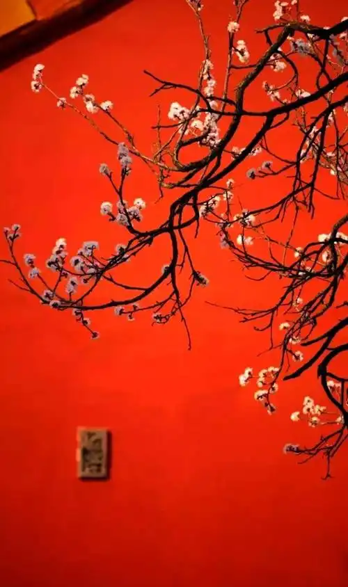 故宫那抹中国红优美的花看了心情都不一样