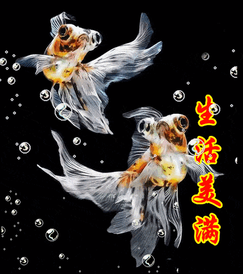 547_617gif 动态图 动图