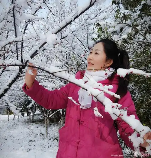 其它 傲雪寒梅 写美篇静静听,雪舞的曼妙飘逸 雪中有佳人, 娇容绝红尘