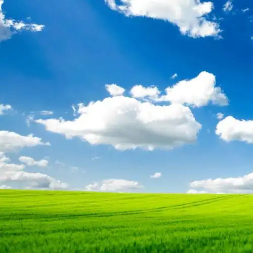 蓝天白云青草