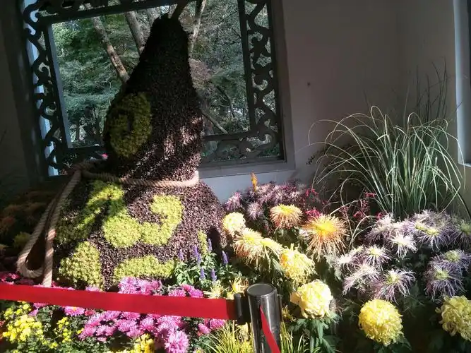 长三角菊花展3～杭州植物园