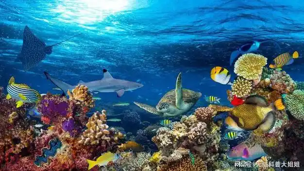 时隔24年,海洋环境保护法修订了!别以为跟你没关系|法律_网易订阅