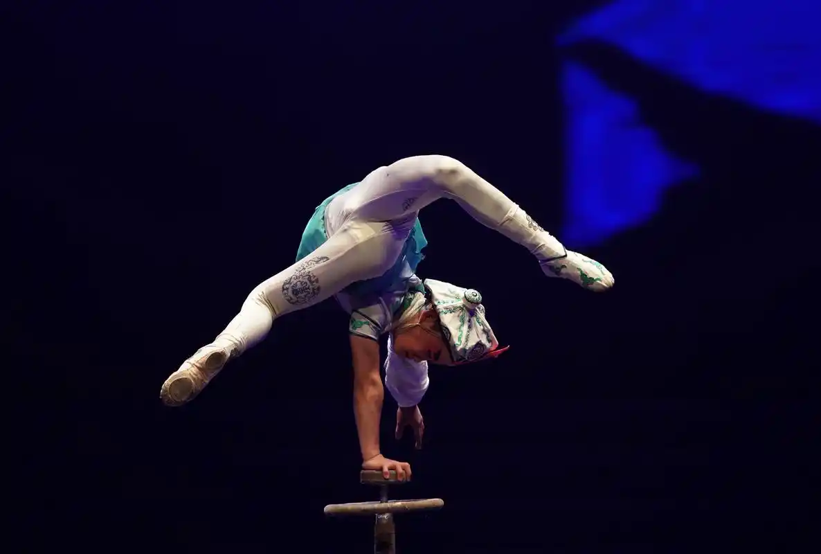 11月7日,河北省杂技团演艺有限公司演员在表演《"生丑炫技"——倒立》