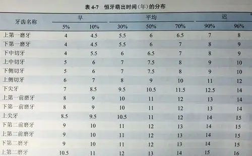 乳牙到底该什么时候换