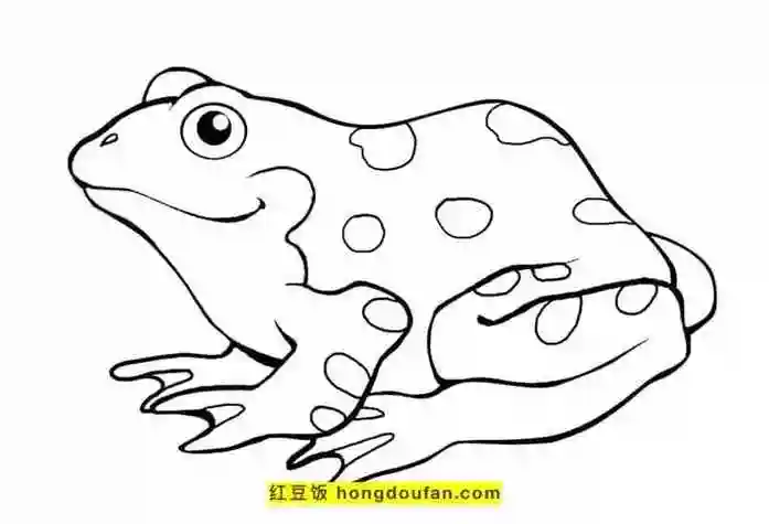 简笔画画画10张呱呱叫的池塘中的青蛙卡通儿童简笔画可爱青蛙小动物
