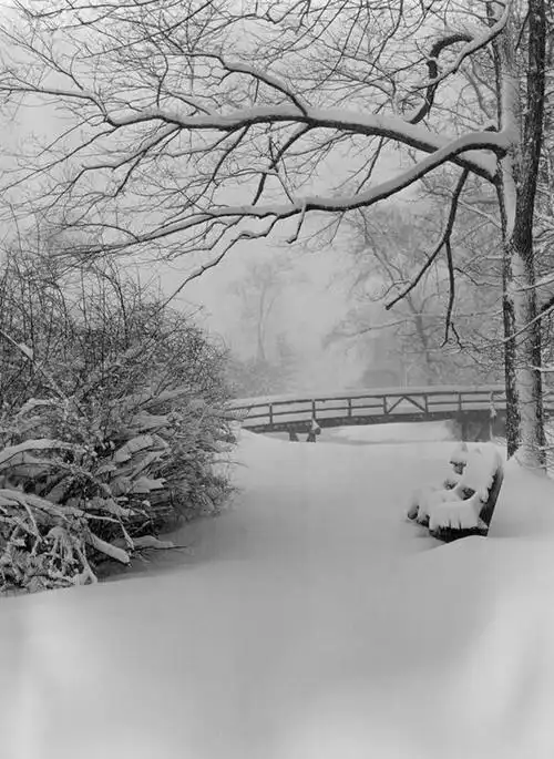 无人,竖图,黑白,室外,白天,旅游,度假,美景,雪,雪山,长椅,景观,冬天