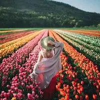 漫步花海的女生背影头像想和你漫步在花海之中