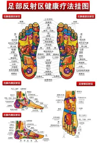 刺激足穴可以调整人体全身功能,治疗脏腑病变!