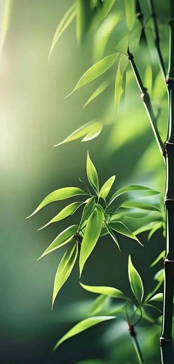 暴富暴美,好运常在,平安喜乐#壁纸