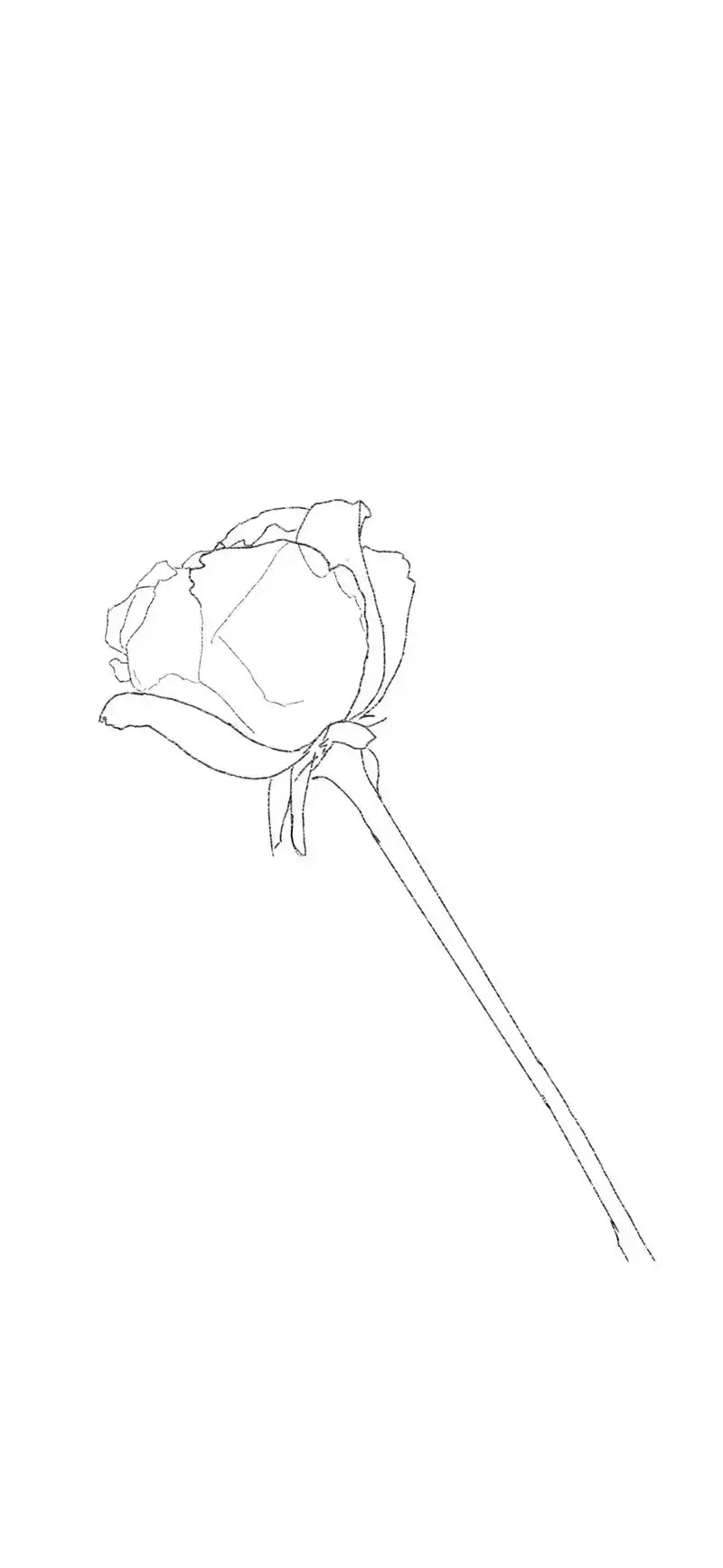 画画 #绘画过程 #画画教程 #原创 #艺术 #记录生活  - 抖音