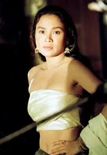 利智,这位曾经的香港女演员,凭借其卓越的才华和美貌,曾成为众人瞩目