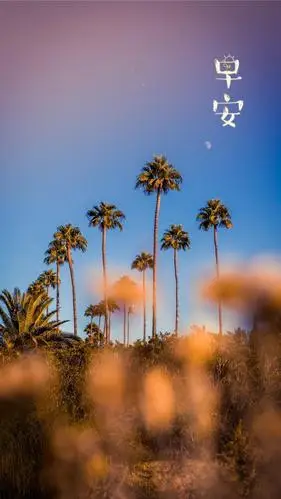 早安小清新风景写真