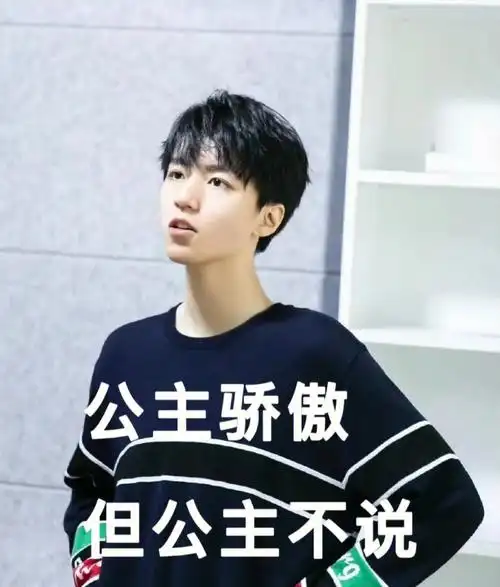 王俊凯公主系列表情包