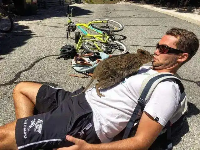 爱笑爱拍照的小袋鼠,看到人就会飞扑过去求抱抱