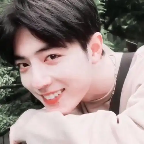 林杦肖战头像可那惊鸿一瞥误入眉眼够我喜欢好多年