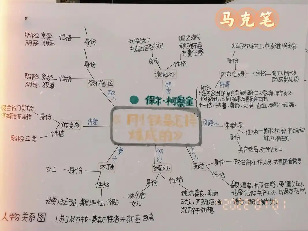 《钢铁是怎样炼成》人物关系图 思维导图