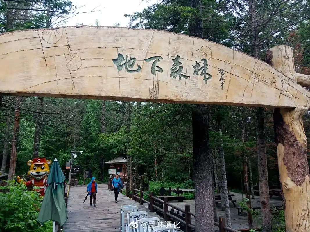 长白山地下森林,来了让你的心灵放松却让你的脚记恨你