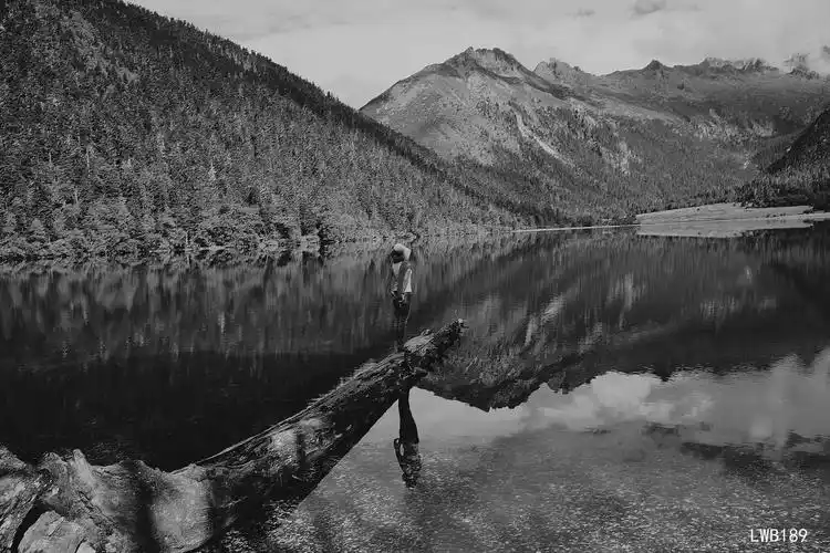 黑白的背影几片