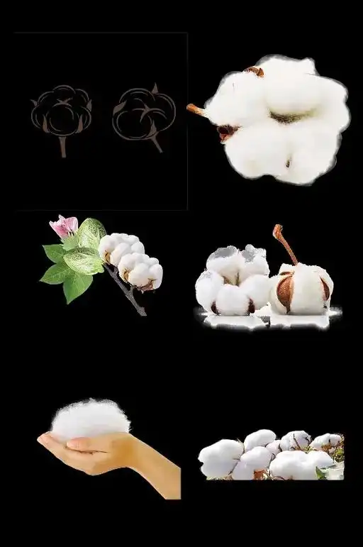 棉絮出售.棉花播下锄梦花,提温保暖效果显. 柔软得像云朵,洁 - 抖音