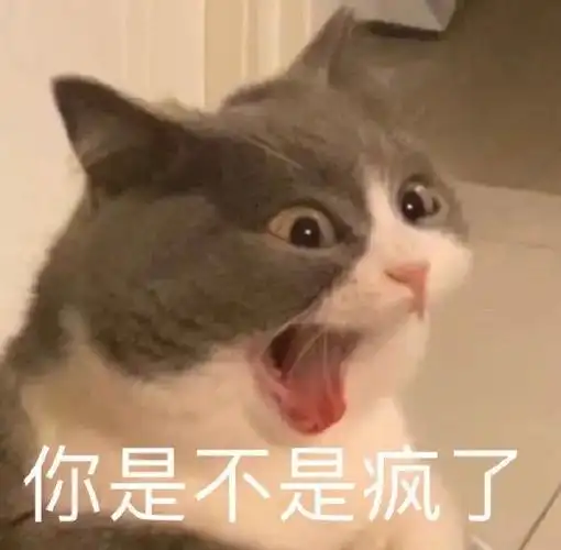 你是不是疯了 猫猫-表情图片 - 壁纸之家