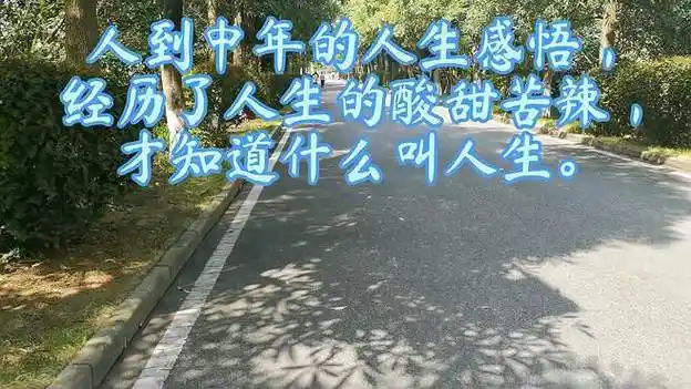 人到中年感悟人生的句子经典(人到中年的人生感悟句子经典透彻受用