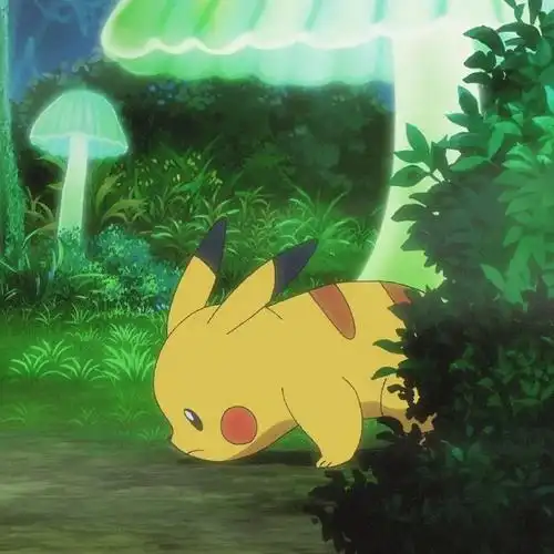 二次元新鲜事##神奇宝贝