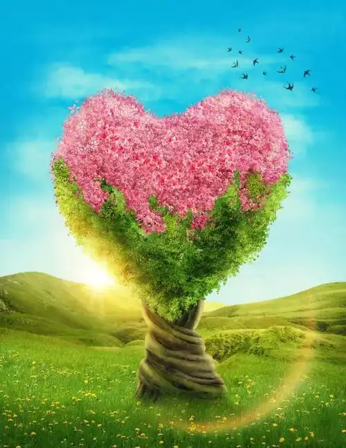 趣味测试凭感觉选一棵心形的大树测你人生哪个阶段桃花运最旺