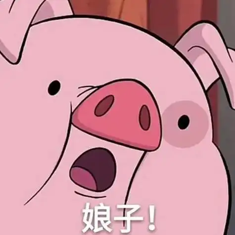 抱一只猪的头像 头像图片大全 -【爱个性】