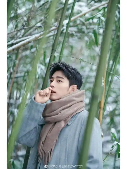 肖战冬日竹林大片