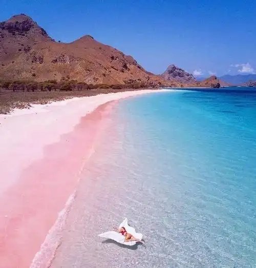 巴厘岛离岛丨粉色沙滩之科莫多岛