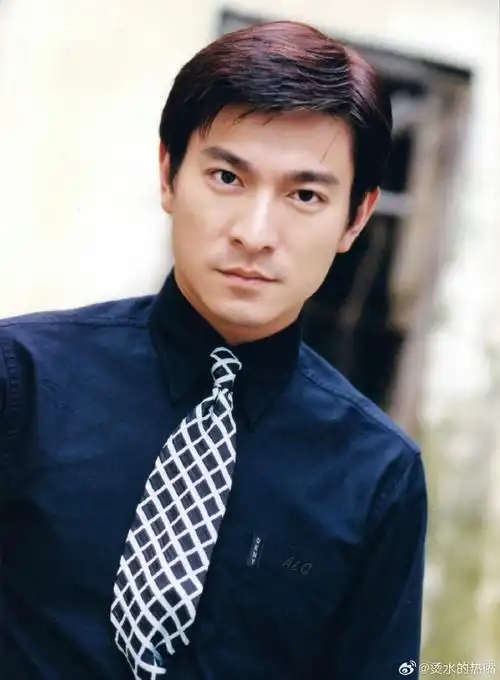 刘德华获多伦多电影节特别贡献奖##电影红毯先生