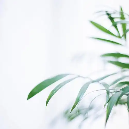 生活 日系 干净 小清新 vsco调色