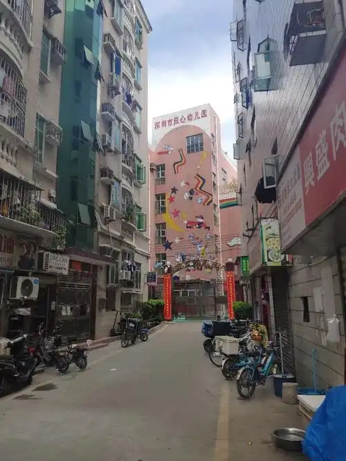 华润发喜报中标罗湖田心村旧改正式合作方这里还有一套房源